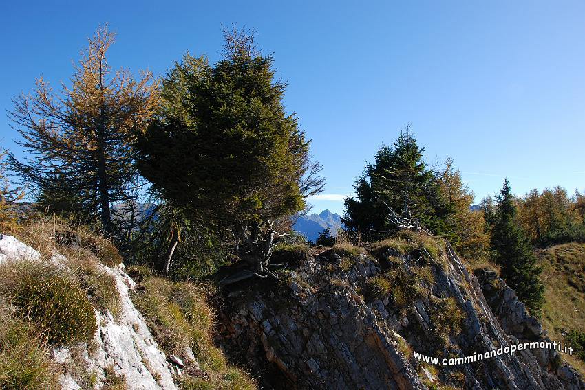 09 11584 Passo di Monte Colle.JPG